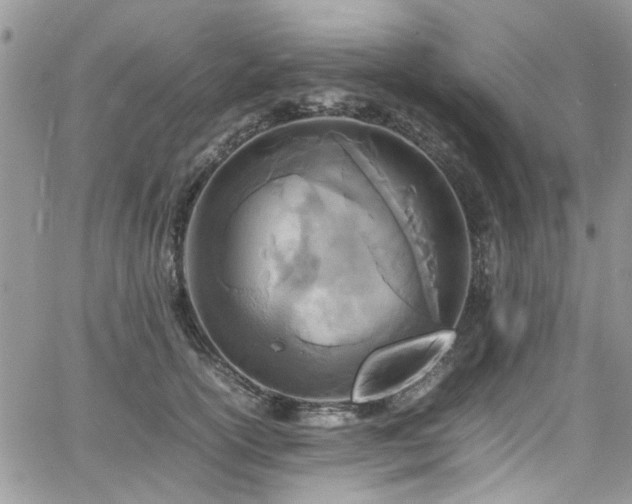 X0000065240754200602171423