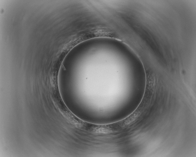 X0000065240755200602171424