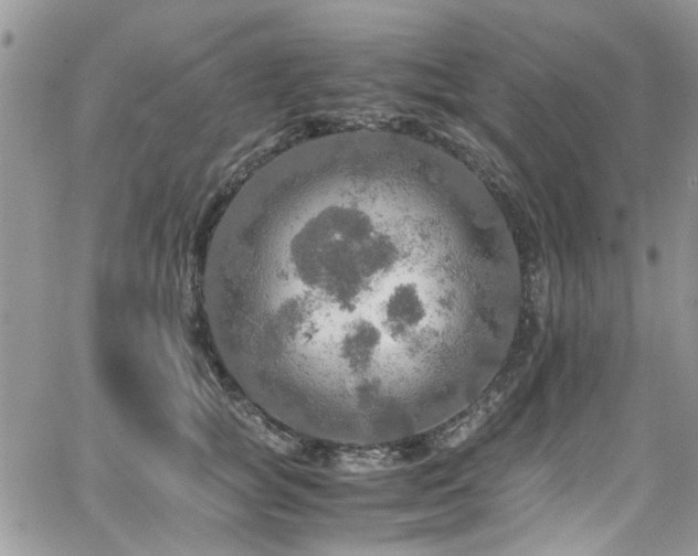 X0000065240757200602171424