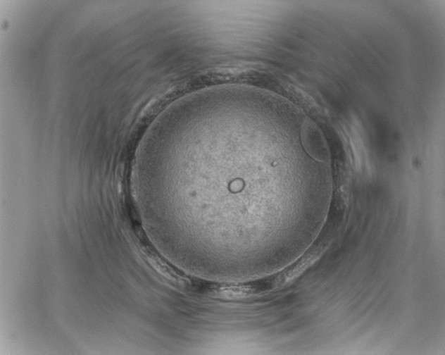 X0000065240758200602171424