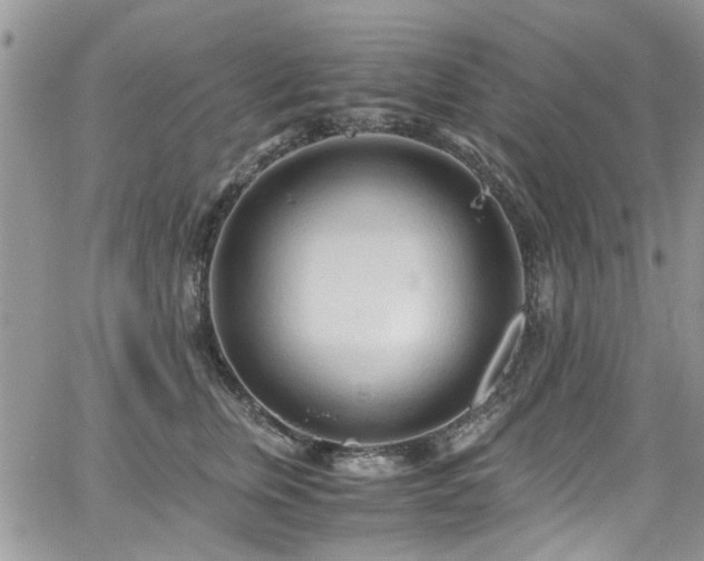 X0000065240759200602171424