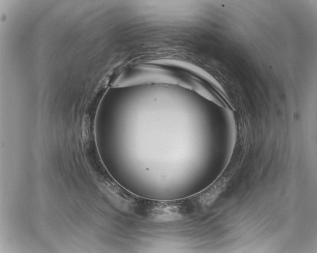 X0000065240760200602171424