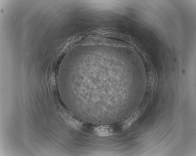 X0000065240761200602171424