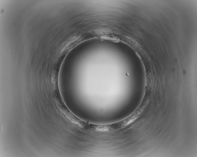 X0000065240762200602171424