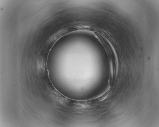 X0000065240763200602171424