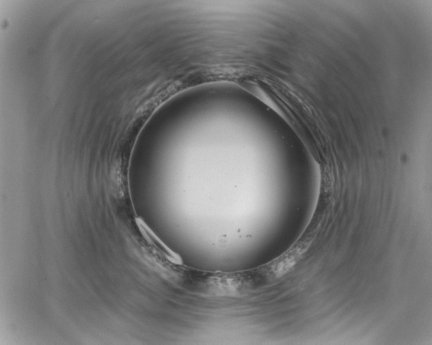 X0000065240764200602171424