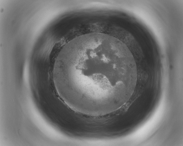 X0000065240765200602171424