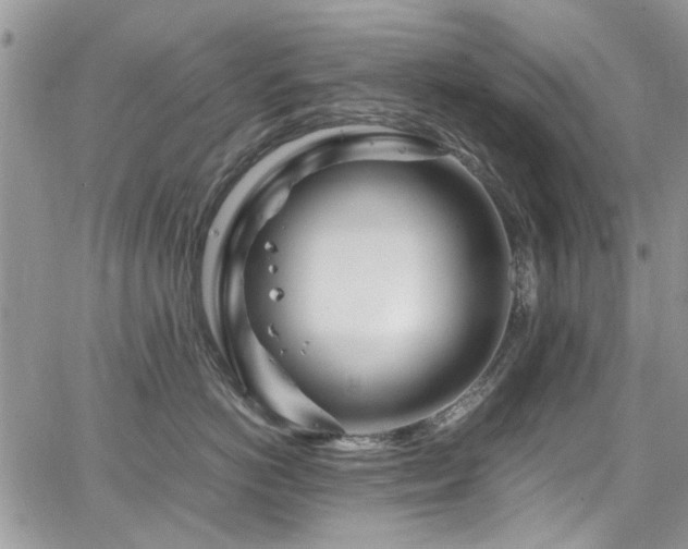 X0000065240766200602171424