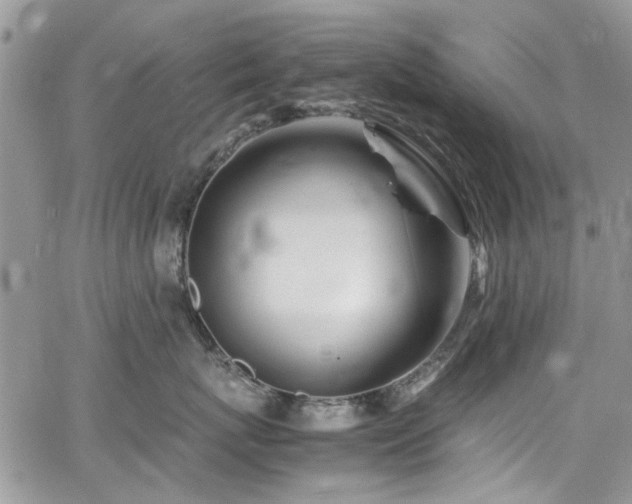 X0000065240767200602171424