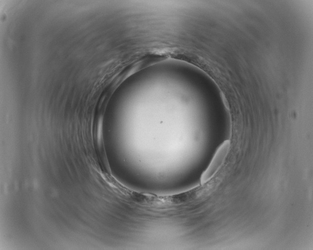 X0000065240768200602171424