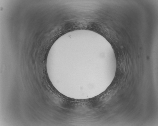 X0000065240769200602171423