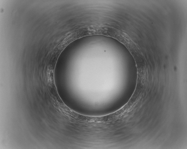 X0000065240770200602171423