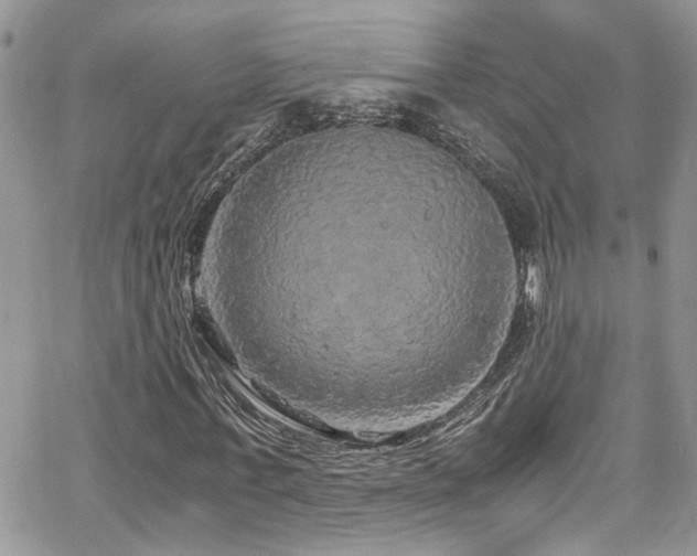 X0000065240771200602171423