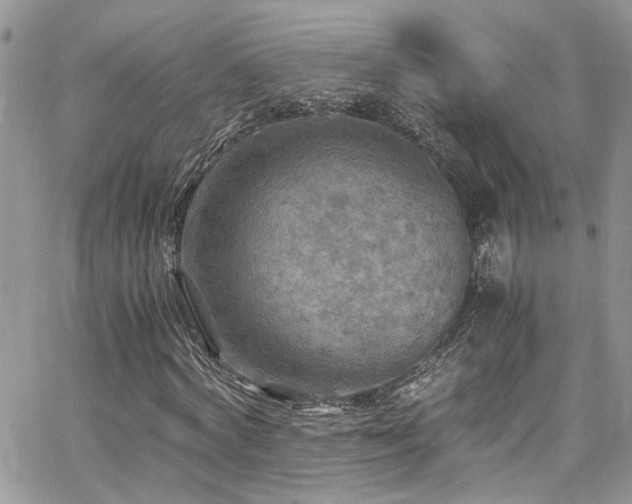 X0000065240772200602171423