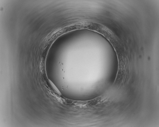 X0000065240773200602171423