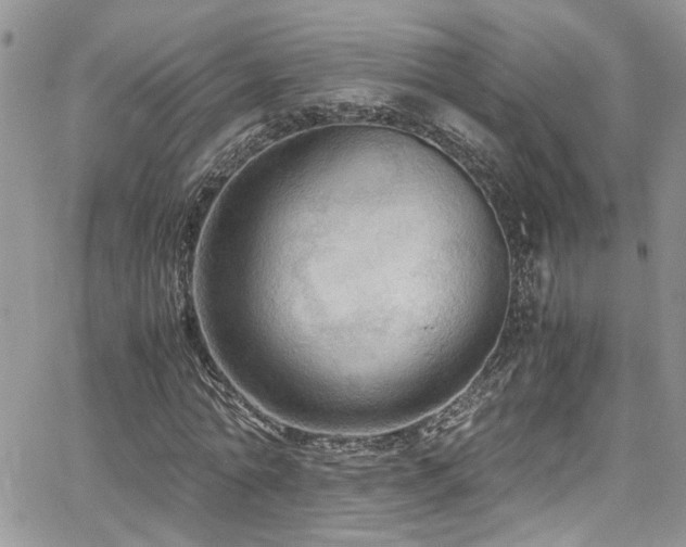 X0000065240774200602171423