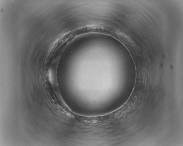 X0000065240776200602171423