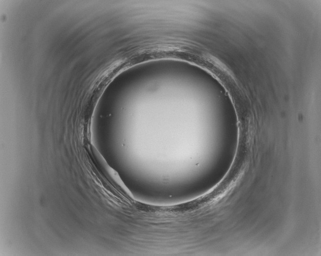 X0000065240777200602171423