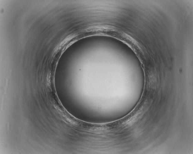 X0000065240778200602171423