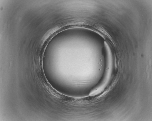 X0000065240781200602171423