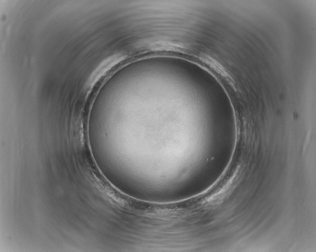 X0000065240782200602171423