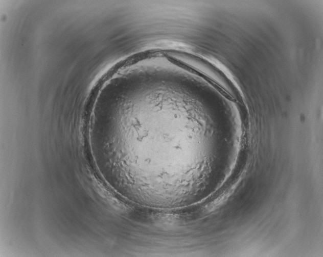 X0000065240783200602171423