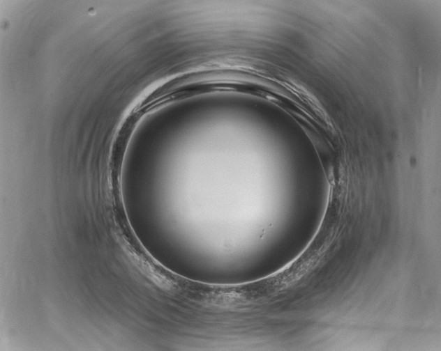 X0000065240784200602171423