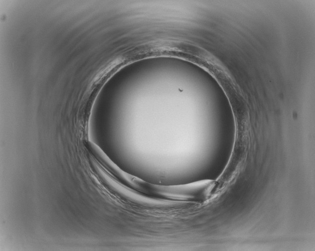 X0000065240785200602171423