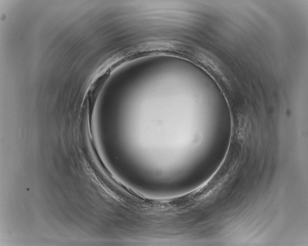 X0000065240786200602171423