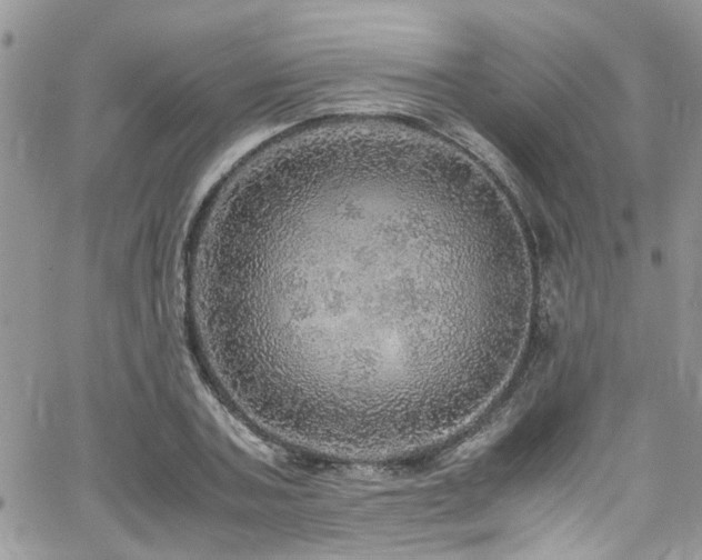 X0000065240787200602171423