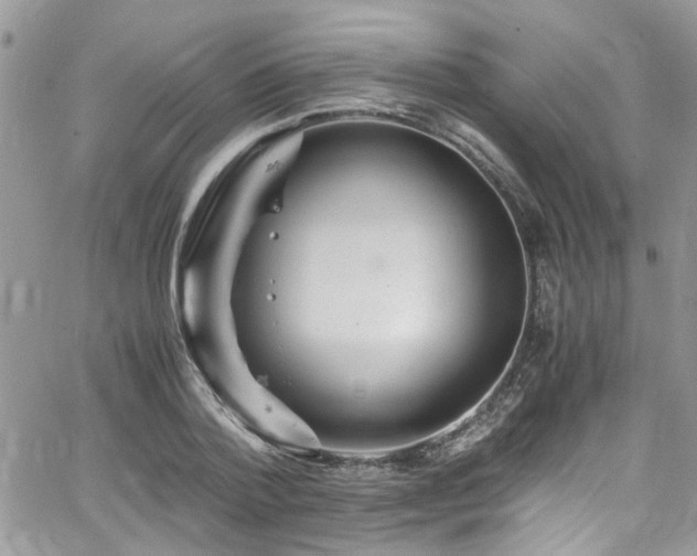 X0000065240788200602171423