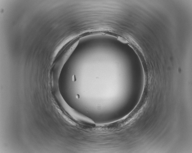 X0000065240789200602171423