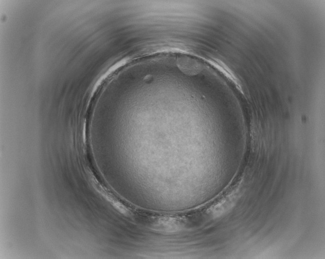 X0000065240790200602171423