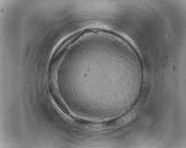 X0000065240791200602171423