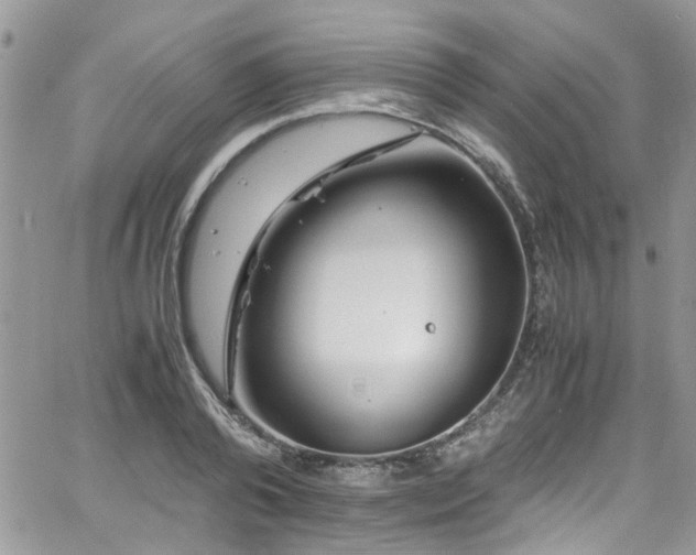 X0000065240792200602171423