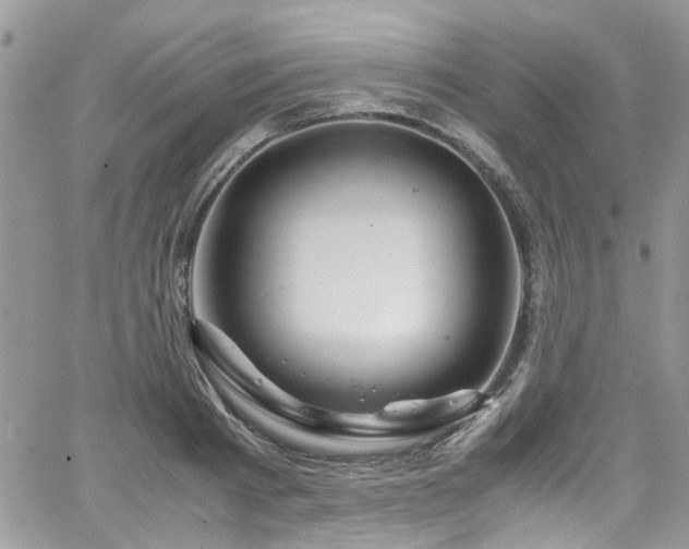 X0000065240793200602171423