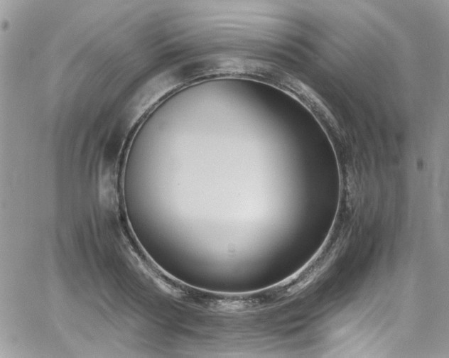 X0000065240794200602171423