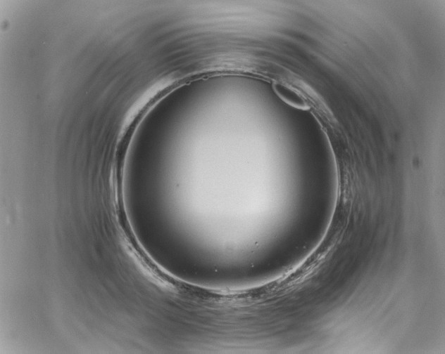 X0000065240796200602171422