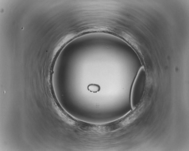 X0000065240797200602171422