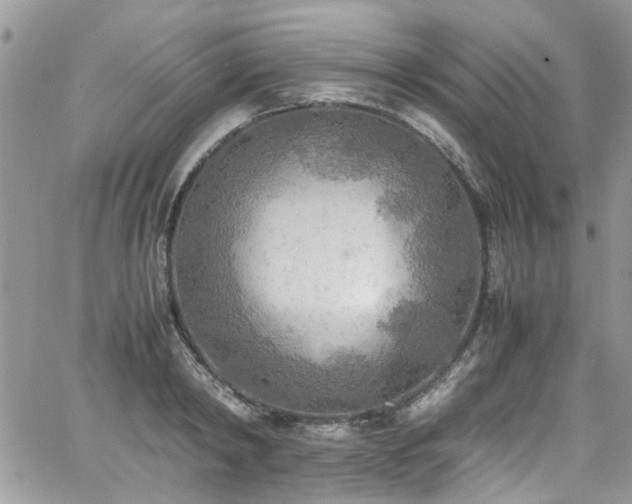 X0000065240798200602171422