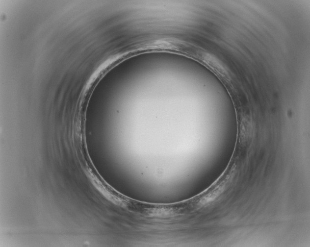 X0000065240800200602171422