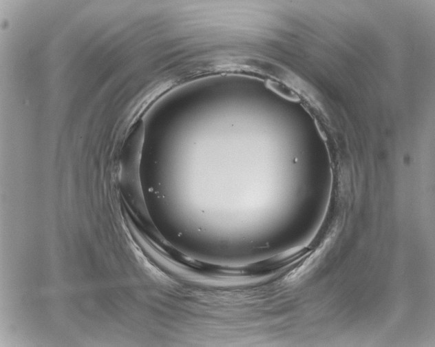 X0000065240801200602171422