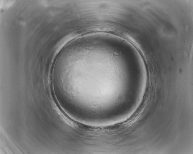 X0000065240803200602171422