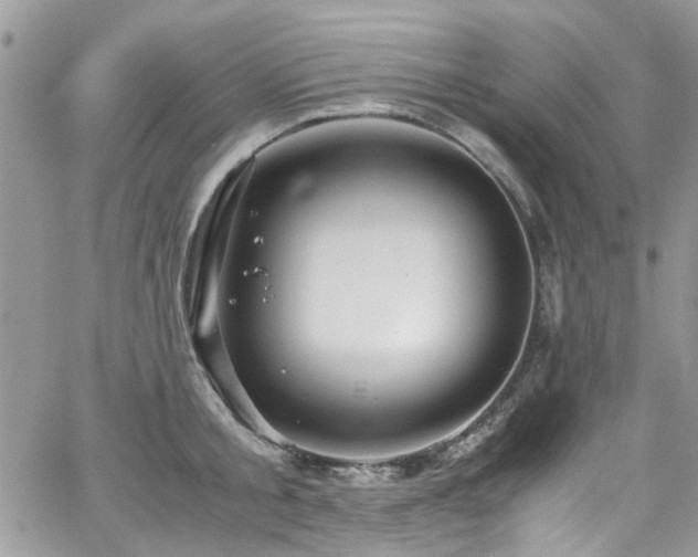 X0000065240805200602171422