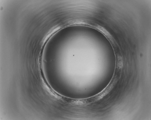 X0000065240806200602171422