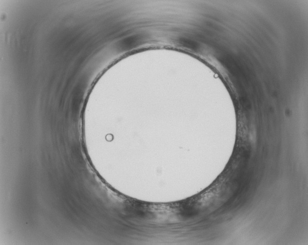 X0000065240807200602171422