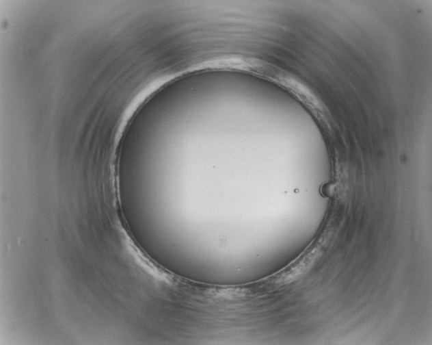 X0000065240808200602171422