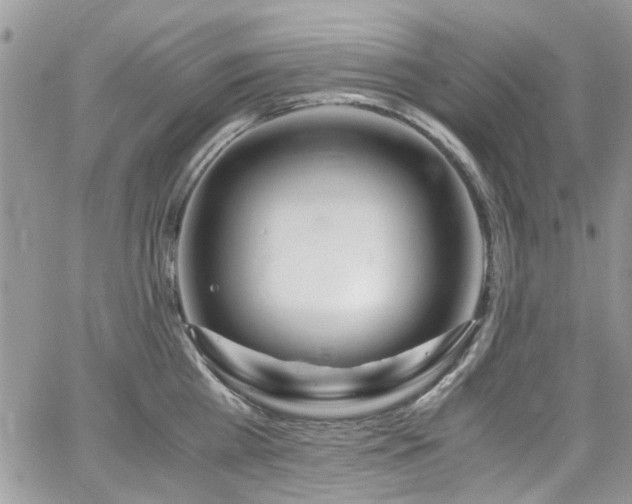 X0000065240809200602171422