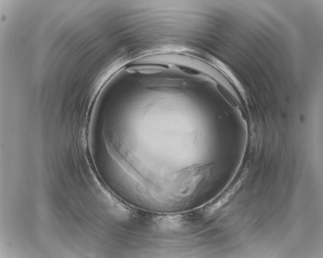 X0000065240810200602171422