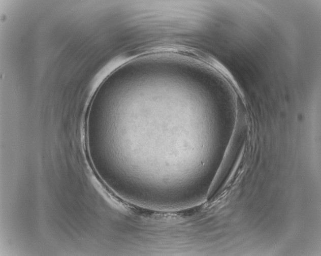 X0000065240811200602171422